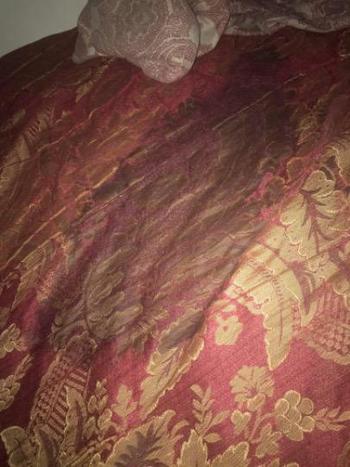 7067516424, female escort, Augusta