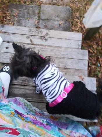 7065928713, female escort, Augusta